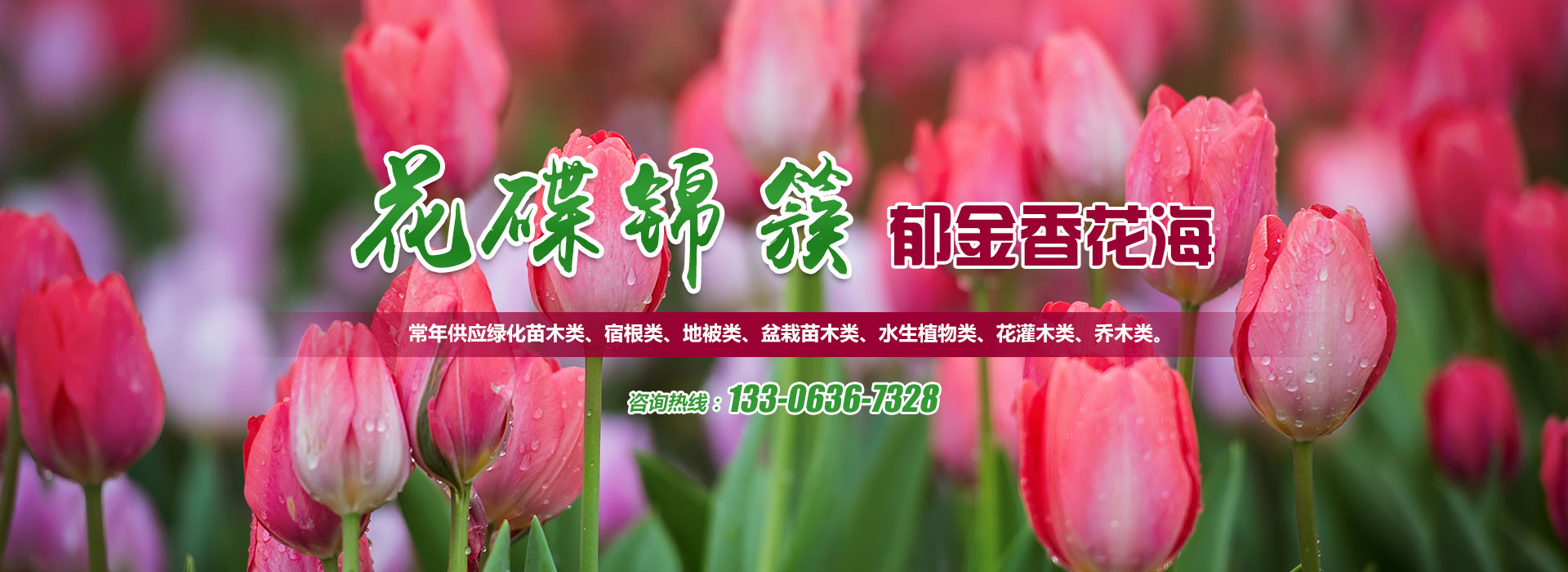 青州市華美溫室工程有限公司