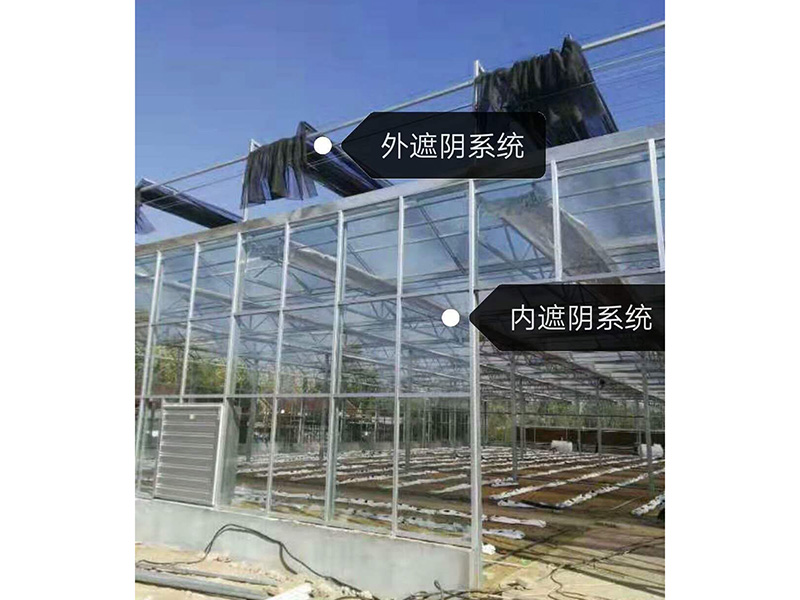 玻璃溫室
